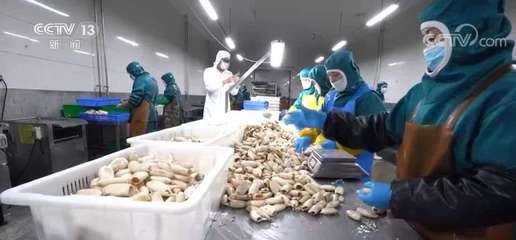 大食物觀引領(lǐng)水產(chǎn)產(chǎn)業(yè)升級 預(yù)制菜如何延長水產(chǎn)養(yǎng)殖價(jià)值鏈